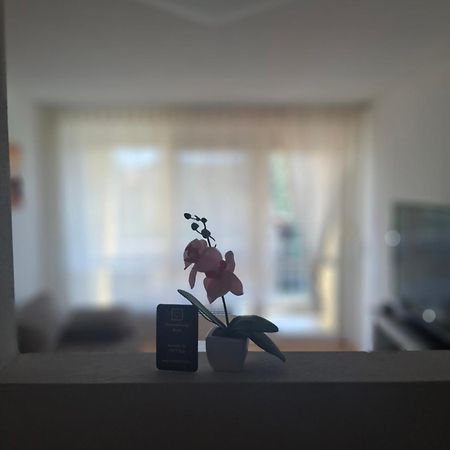Ferienwohnung Shirin Rust Ngoại thất bức ảnh