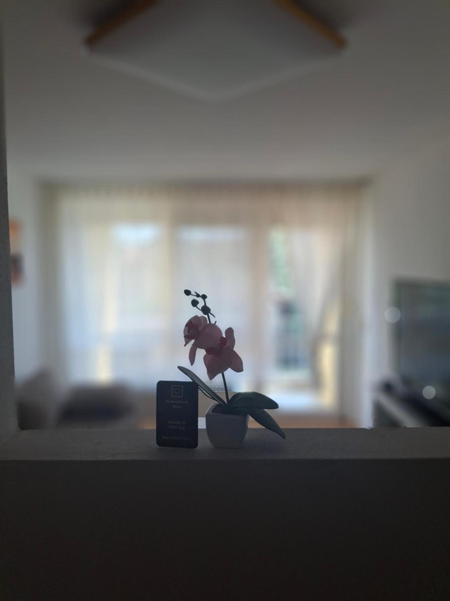 Ferienwohnung Shirin Rust Ngoại thất bức ảnh